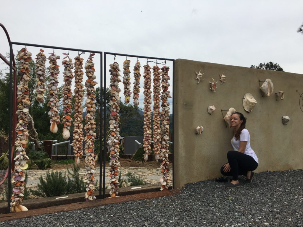 Jardim encantado: um milhão de vagalumes (Uaná Etê)