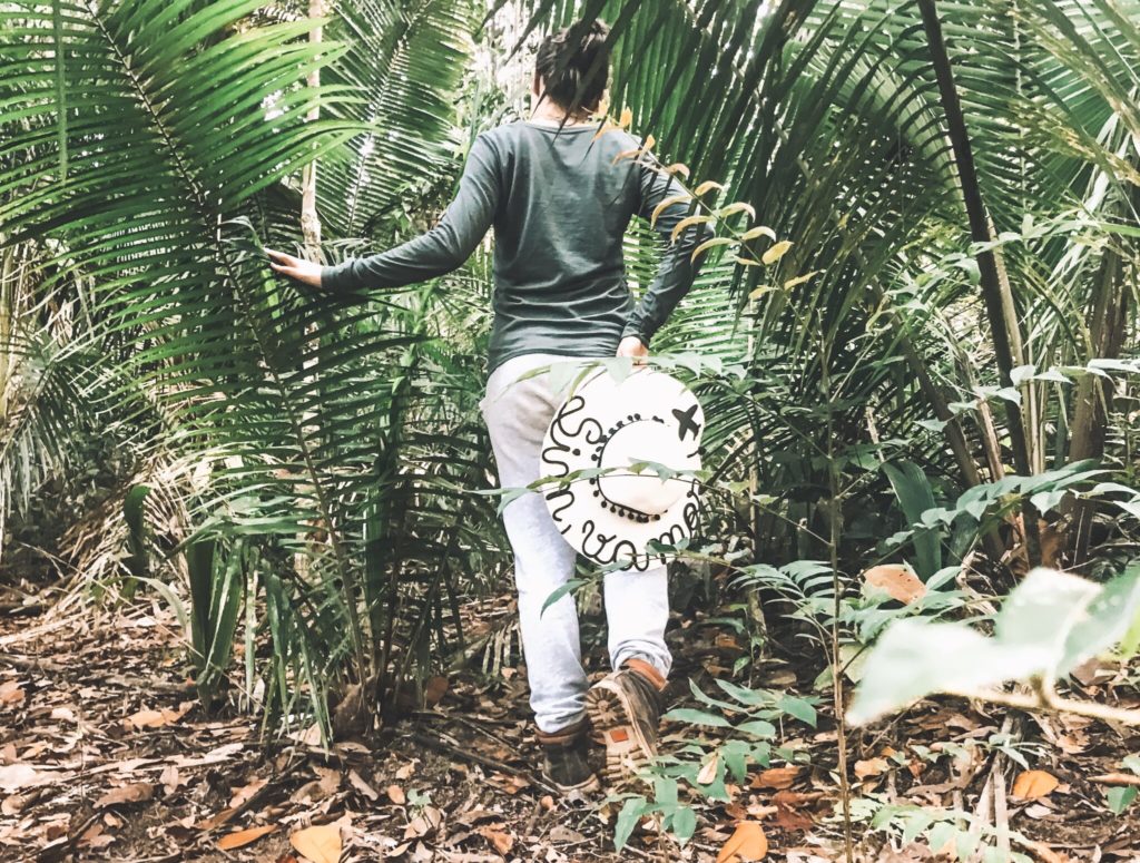 Como é viajar pela Floresta Amazônica Como é viajar pela Floresta Amazônica