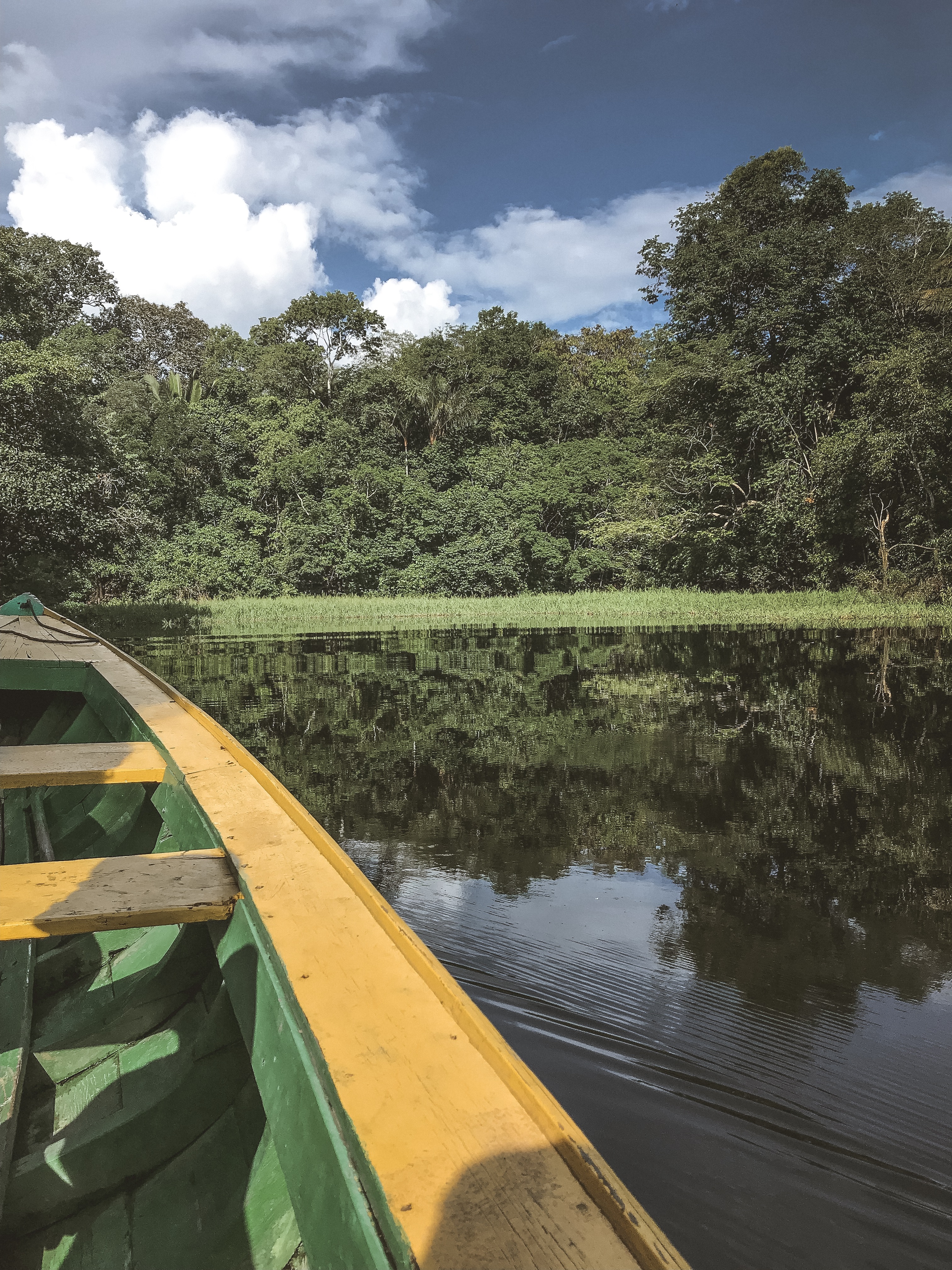 O que fazer na Floresta Amazônica - A escolha do roteiro