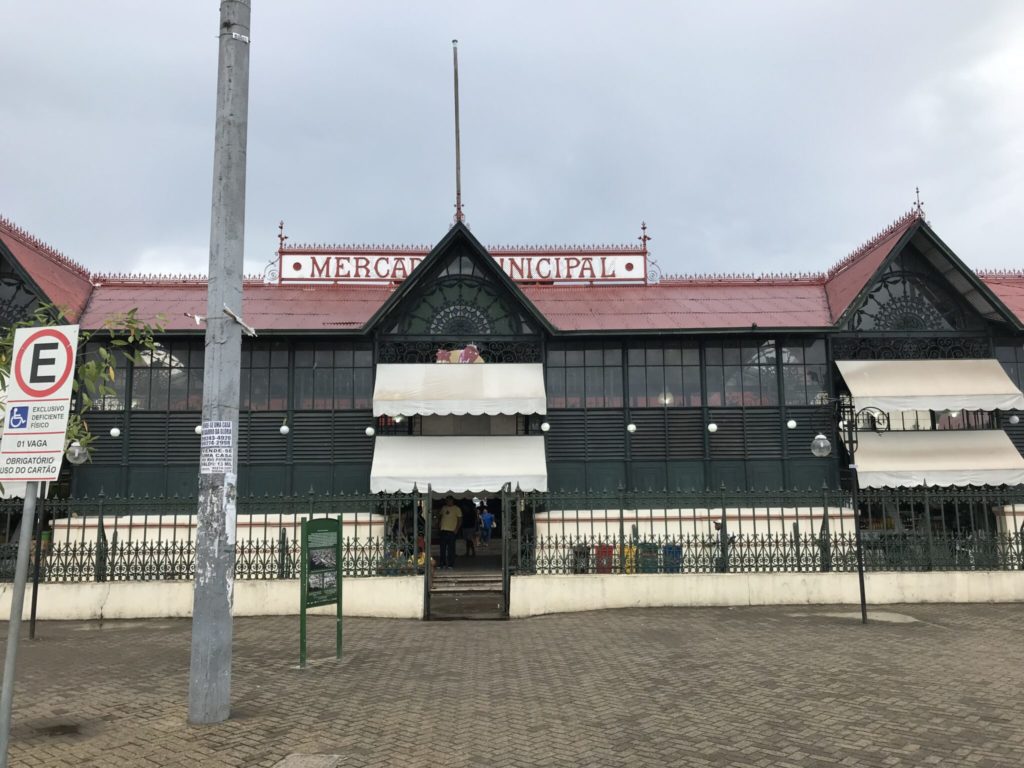 O que fazer em Manaus - Roteiro de 2 dias